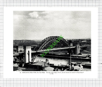 Newcastle Upon Tyne Bridge / King's College University of Durham - 1958 Cutting