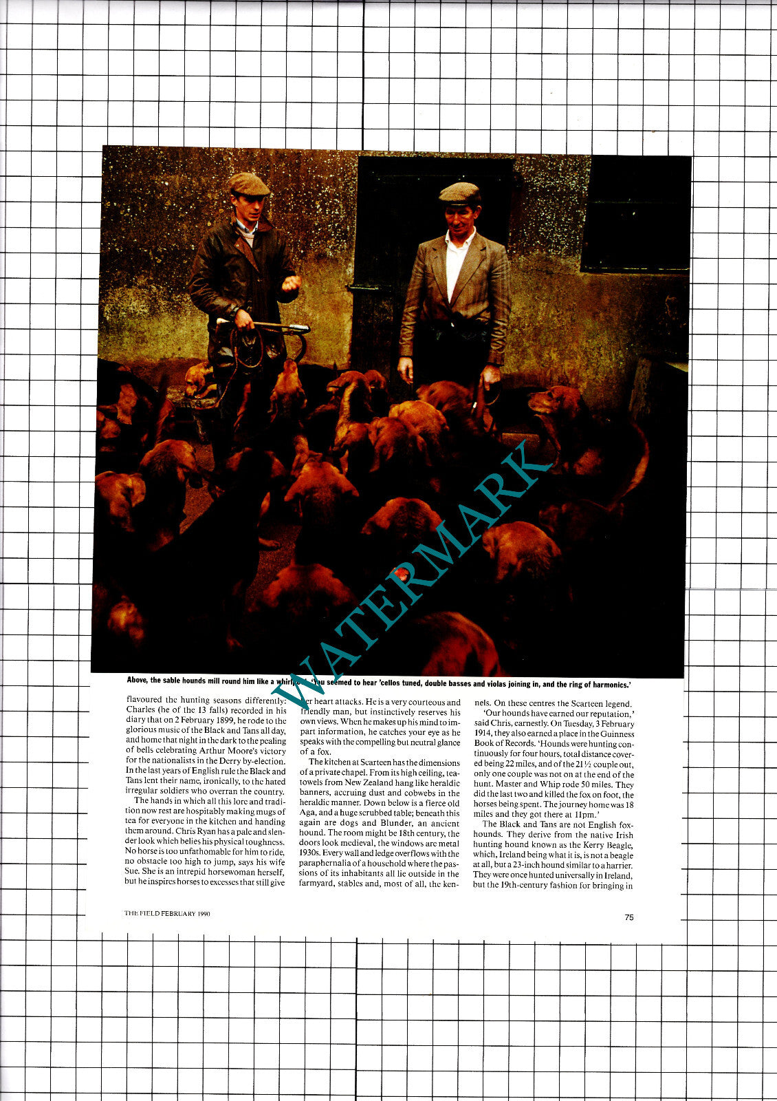 Scarteen Hounds Ryan - 1990 Article / Print