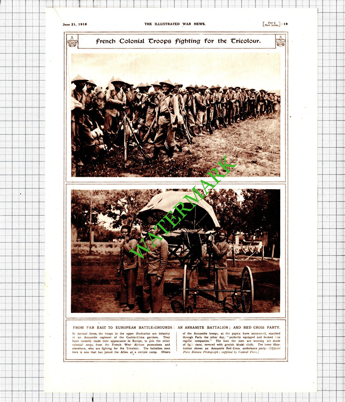 Annamite Regiment Cohin-China Garrison Red Cross Ambulance WW1  - 1916 Cutting