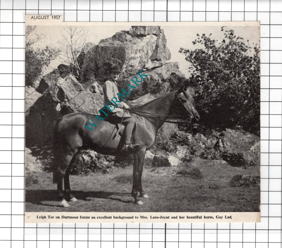 Mrs Lane-Joynt Horse Gay Lad - 1957  Clipping