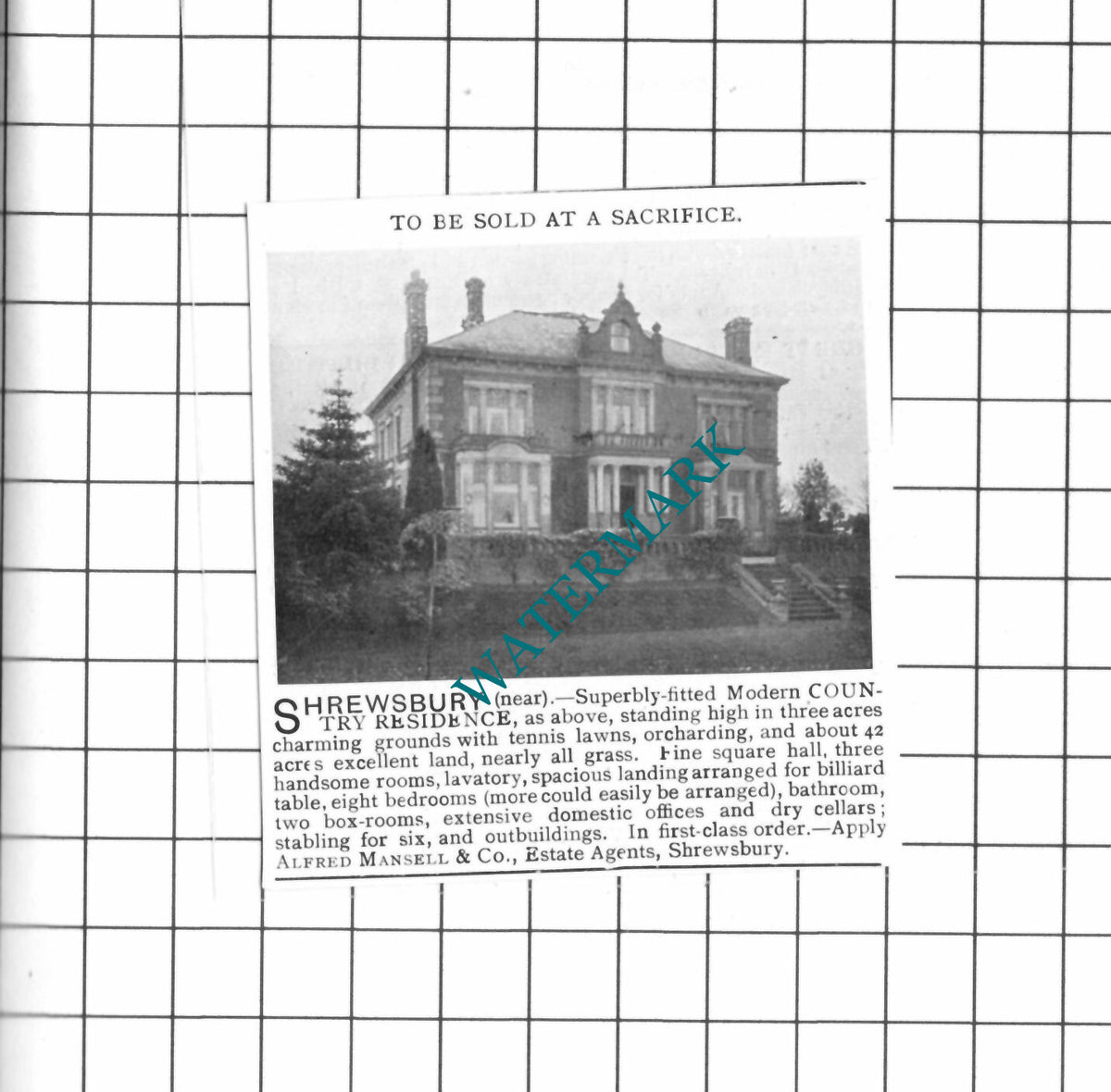 Shrewsbury Shropshire House Advert - 1903 SMALL Clipping / Print