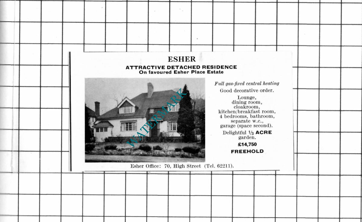 Esher Surrey SMALL House Sale Advert - 1967 Clipping