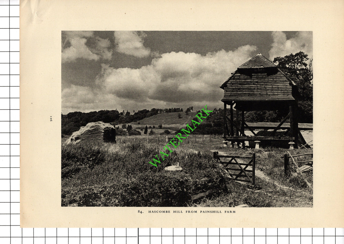 Painshill Farm Surrey - 1949 Book Print