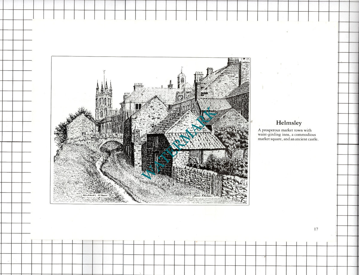 Helmsley North Yorkshire  / Rievaulx Abbey - c.1990's Cutting