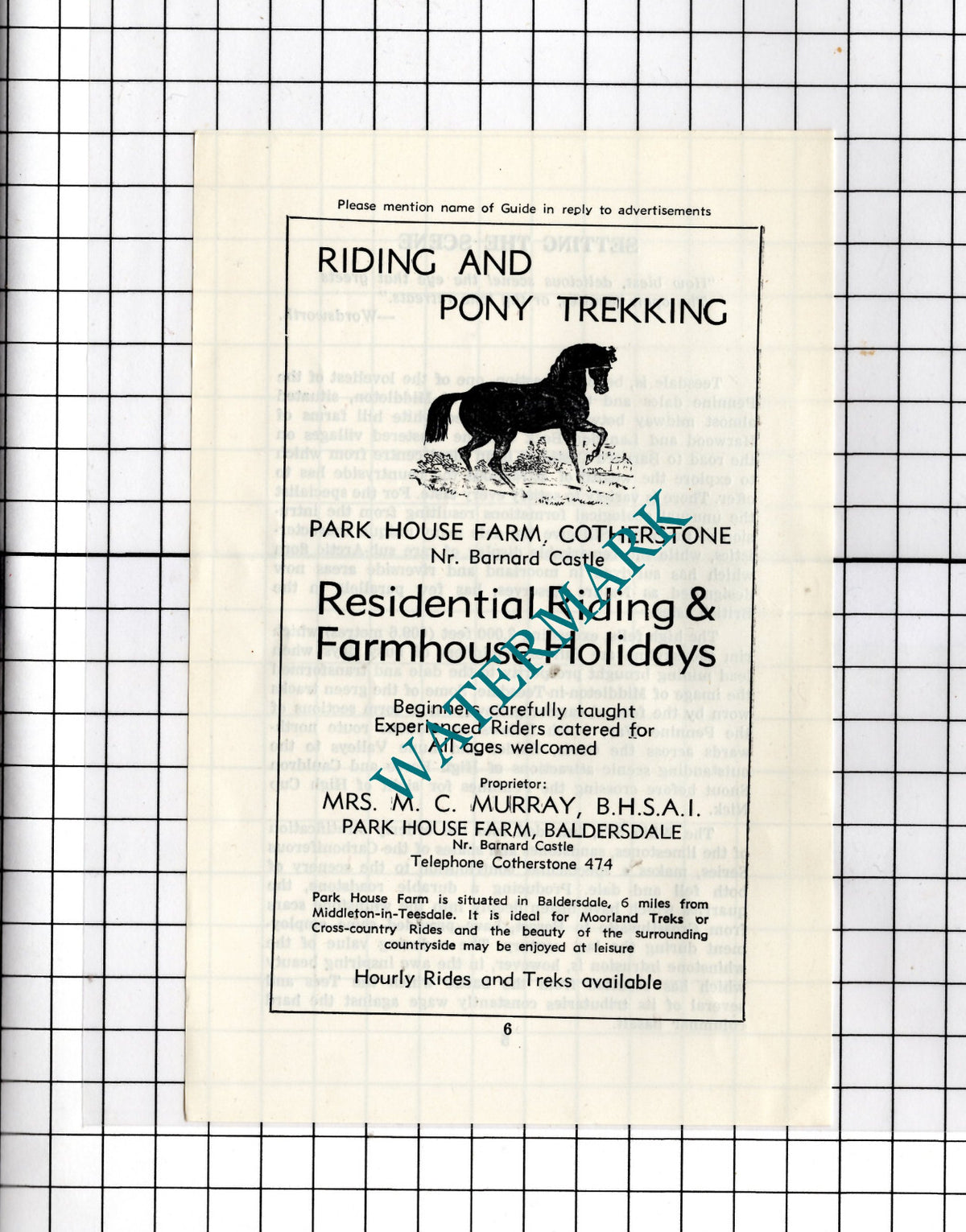 Park House Farm Cotherstone Baldersdale Mrs M C Murray - c.1977 Small Advert