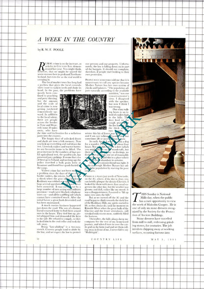 Malcolm Cooper Stone Dresser - 1994 2-Part Clipping / Print