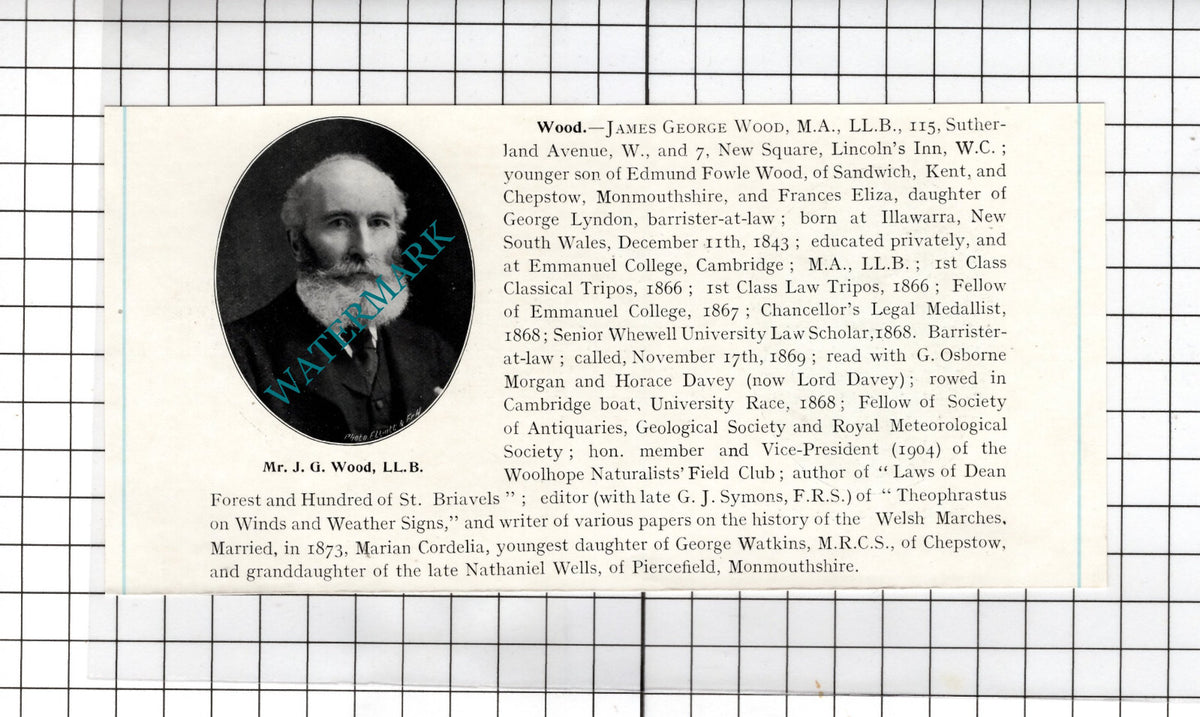 James George Wood Illawarra / Robert Younger  73 South Audley St   1905 Clipping