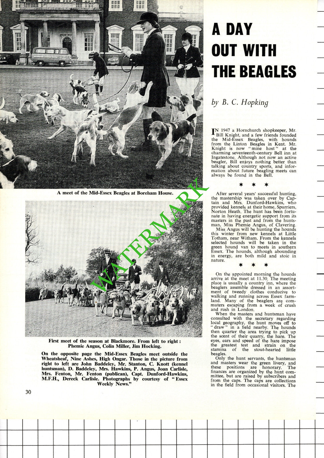 Mid-Essex Beagles Bill Knight Hornchurch Essex Dunford-Hawkins - 1968 Article
