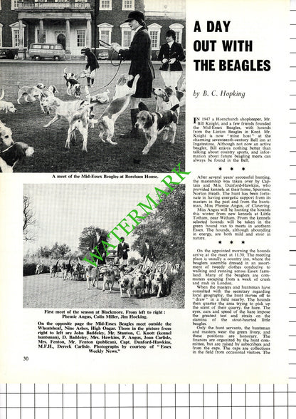 Mid-Essex Beagles Bill Knight Hornchurch Essex Dunford-Hawkins - 1968 Article