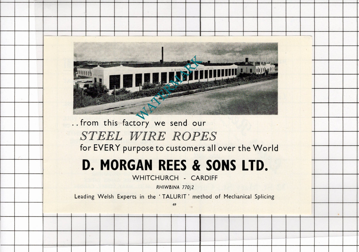 D Morgan Rees & Sons Ltd Whitchurch Cardiff Wales Advert - 1958 Clipping