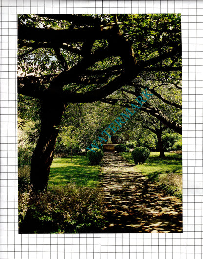 Greys Court Oxfordshire Garden - 1995 Article