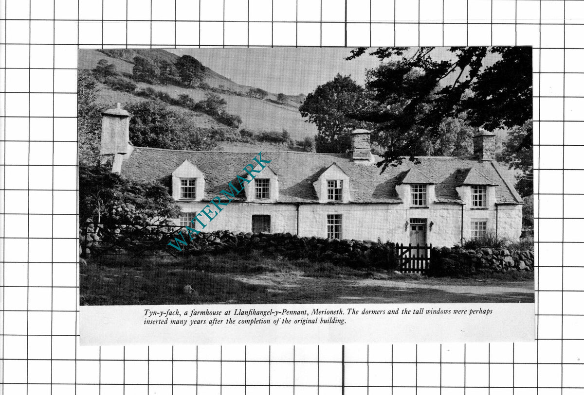 Tyn-y-fach Llanfihangel-y-Pennant Merioneth Wales  - 1971 Clipping / Print