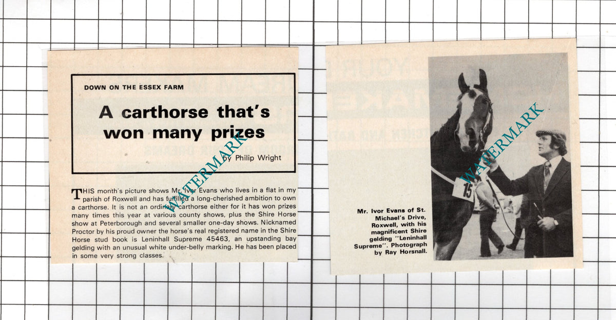 Mr Ivor Evans Roxwell Essex Carthorse  Leninhall Supreme 1970's Two-Part Cutting
