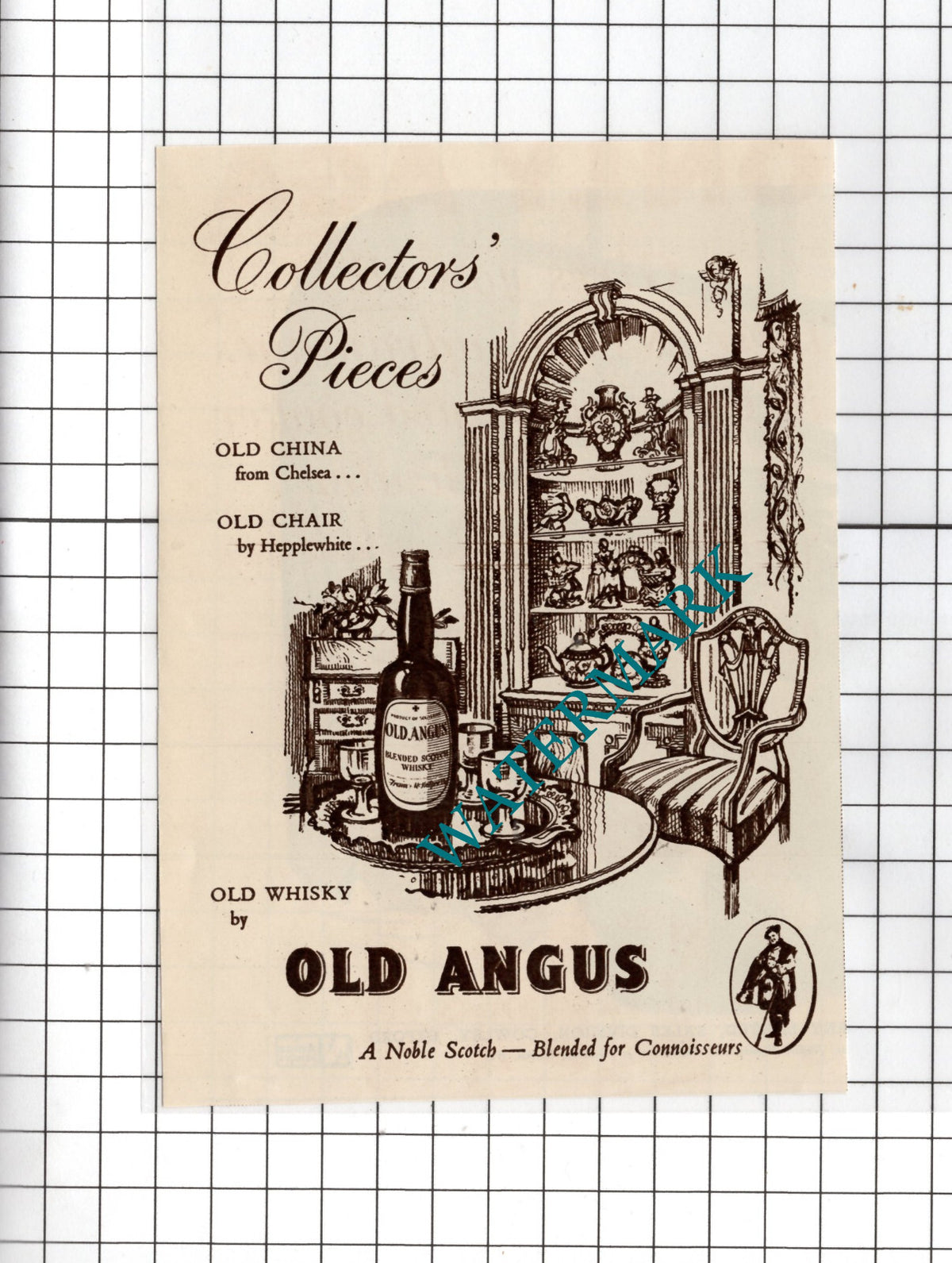 Old Angus Whisky Advert  - 1950 Small Cutting