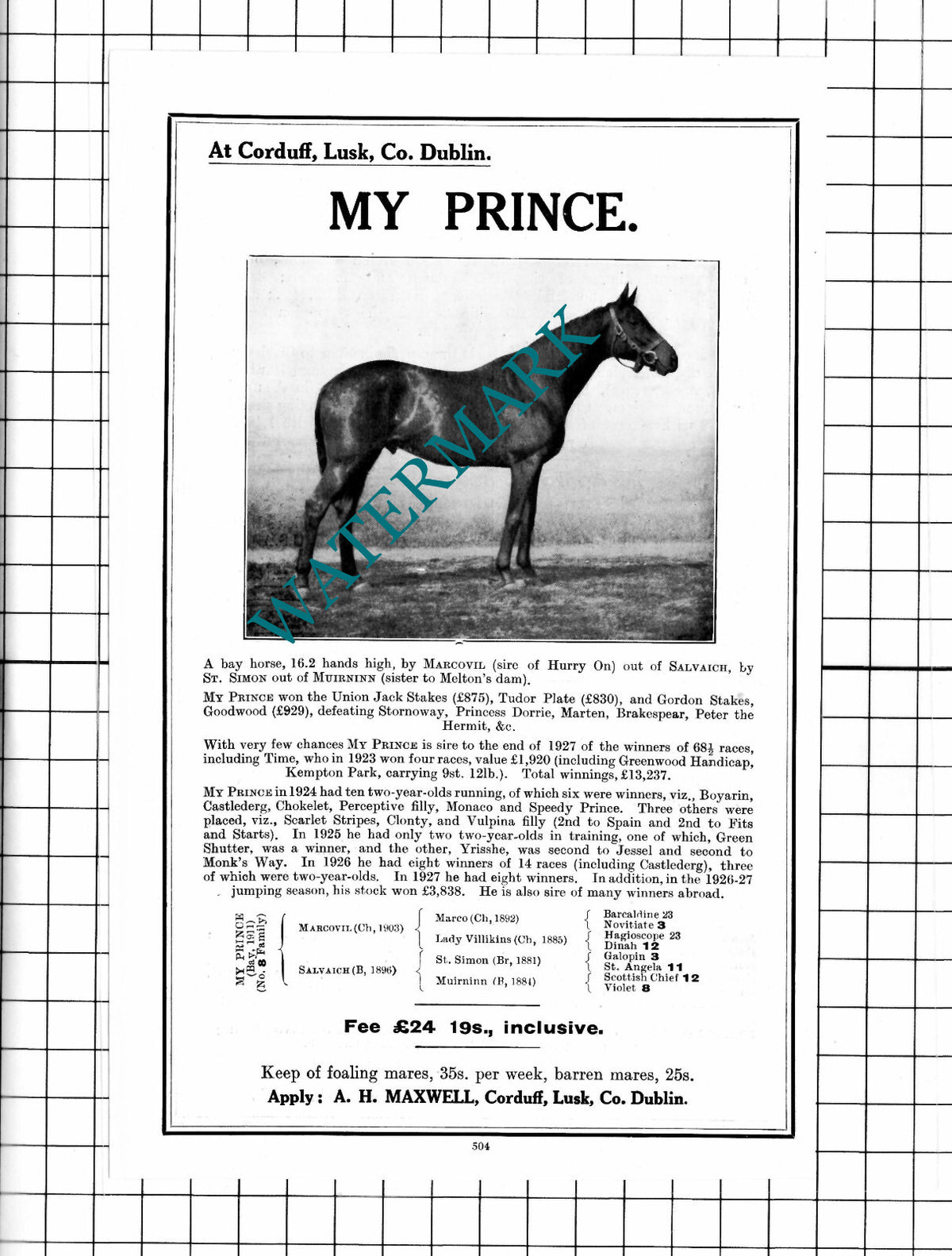 MY PRINCE Horse Racehorse Corduff Lusk Ireland A H Maxwell  - 1927 Advert