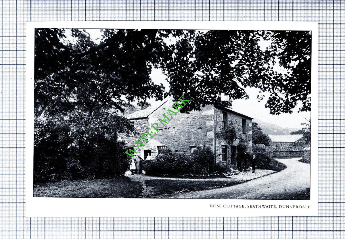 Rose Cottage Seathwaite Dunnerdale Cumbria  - Cutting / Print