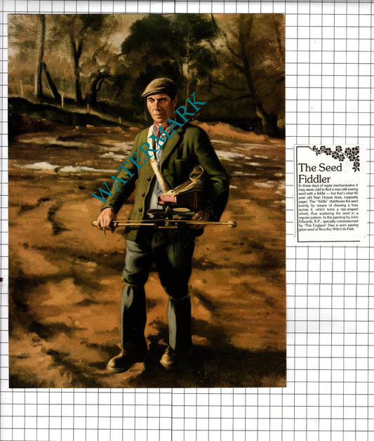 Stan Howes  Bewdley Wildlife Park Seed Fiddler  - 1979 Two-Part Clipping