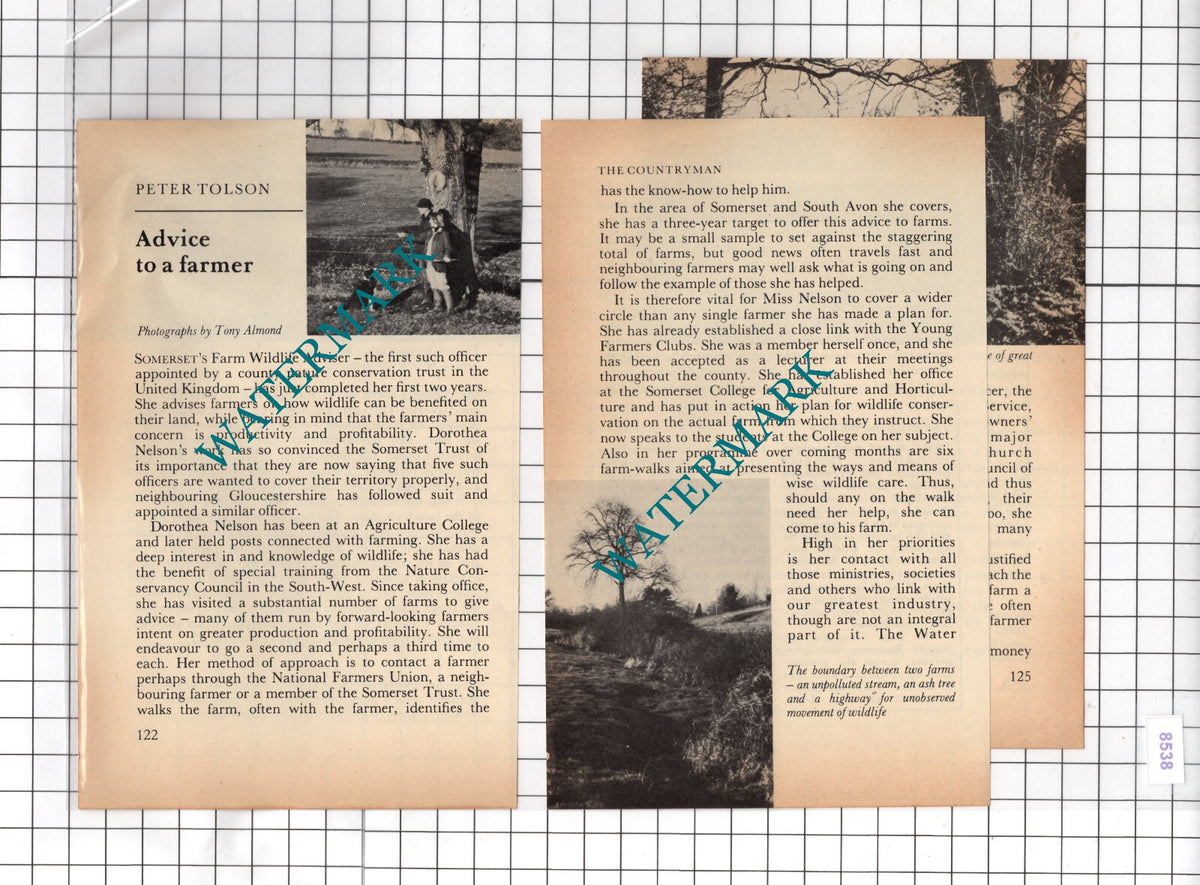Dorothea Nelson Somerset Wildlife Advisor - 1980 Small Article