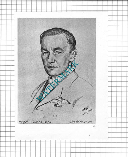 F/Lt JCF Hayter / W/Cmdr T G Pike   WW2 Pilot - 1942 Book Print