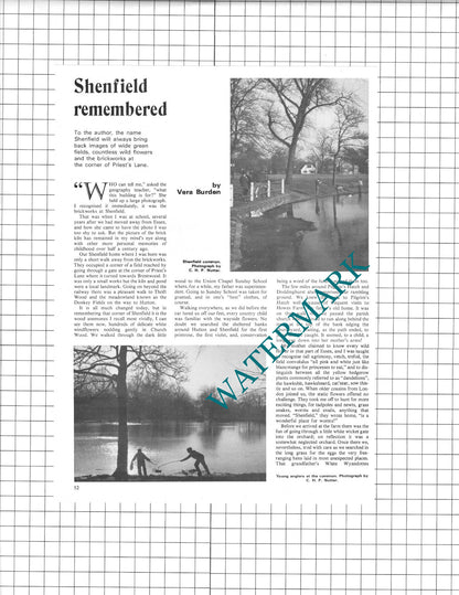 Shenfield Essex Vera Burden - 1978 Article