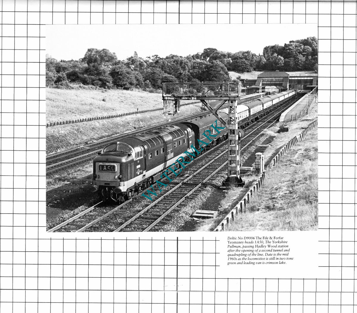 Hadley Wood Railway Station Deltic No D9006  -   Cutting / Print