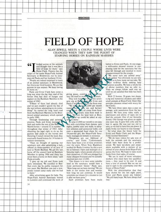 Hope Field Hopefield Animal Sanctuary Brentwood Essex  - 1991 Article