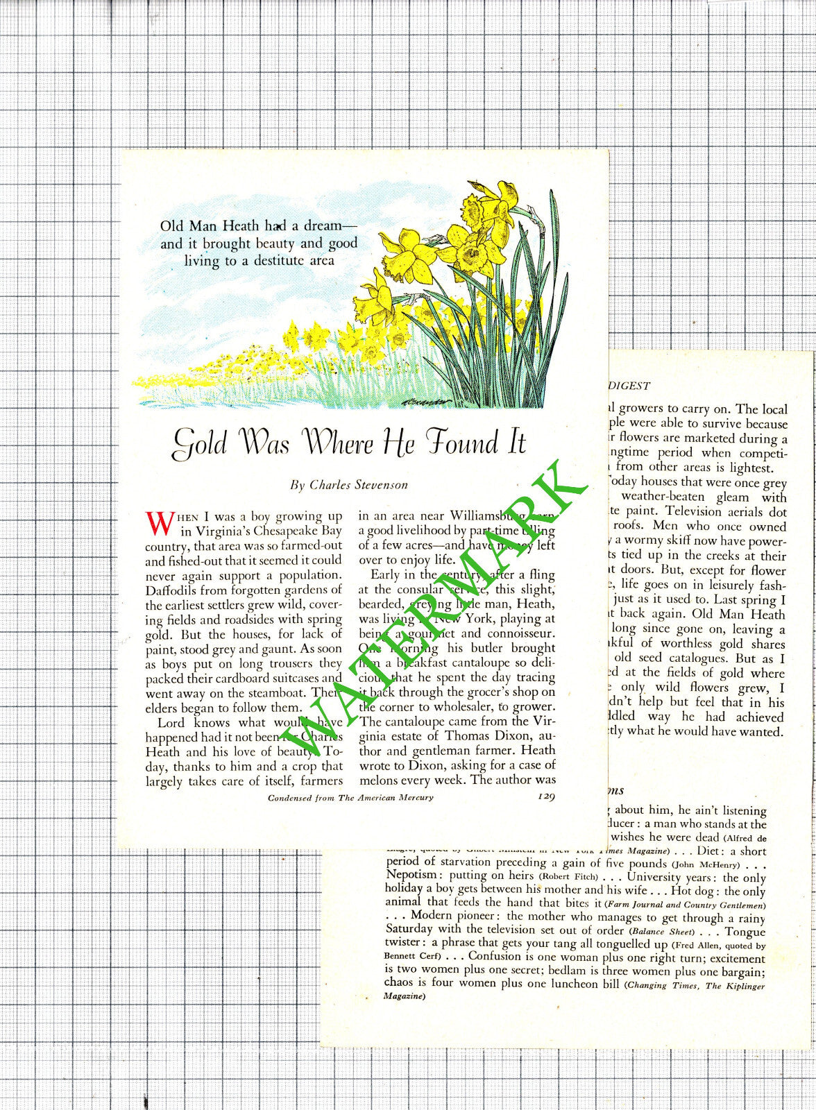 Charles Heath Williamsburg Thomas Dixon Virginia  Daffodils -1956 Article