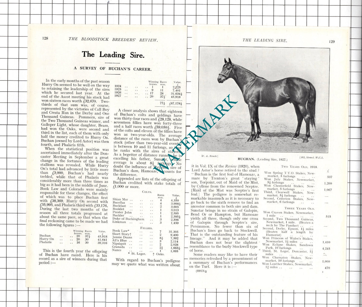 BUCHAN Race Horse Lord Astor  - 1927 Article