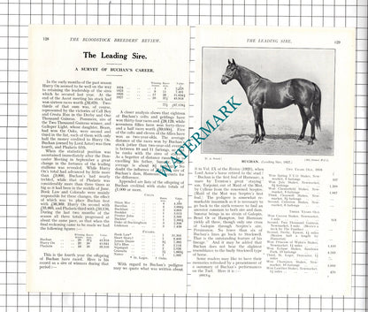 BUCHAN Race Horse Lord Astor  - 1927 Article