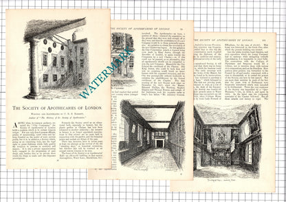 The Society Of Apothecaries of London  - 1907 Article / Print