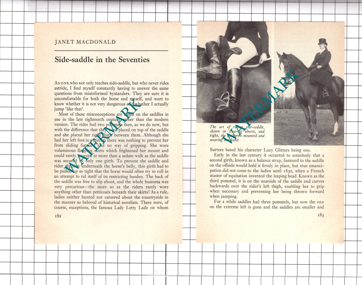 Janet MacDonald Side Saddle Horse Riding  - 1974  Article / Print