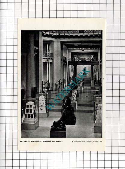 National Museum Of Wales Cardiff - 1958 Small Cutting / Print