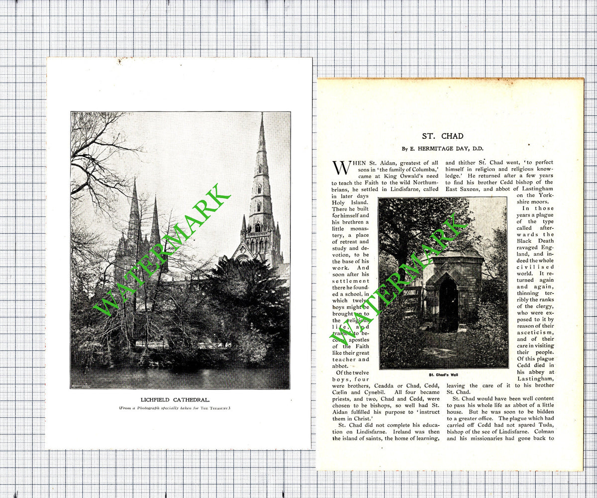 St Chad Lichfield Cathedral  - 1906 Article / Print
