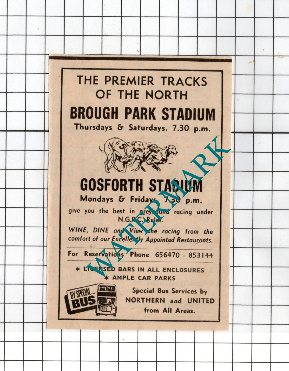 Brough Park Stadium  Gosforth Stadium Greyhound Racing  - 1970 Advert