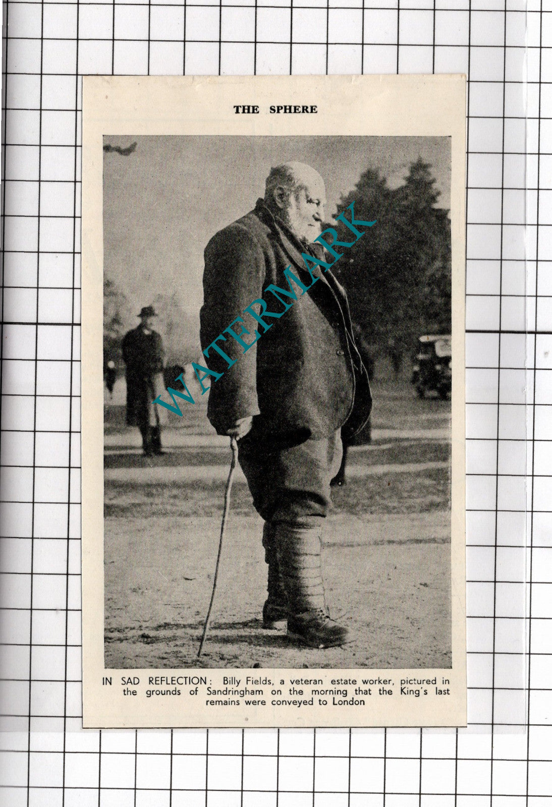 Billy Fields Sandringham Worker - 1936 Small Cutting