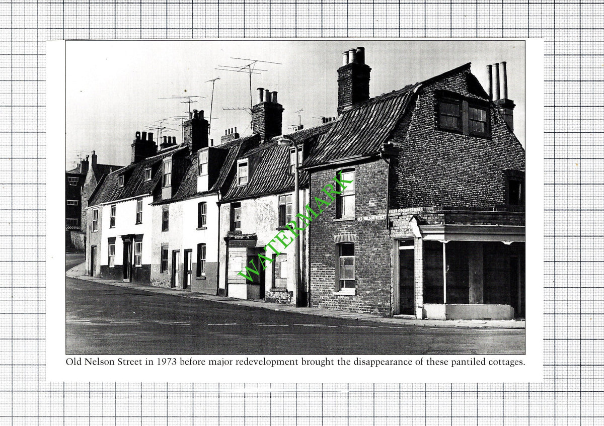 Lowestoft Old Nelson Street / Normanston House - Cutting