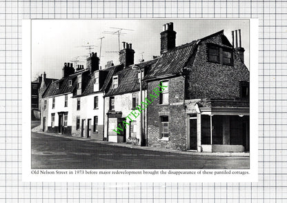 Lowestoft Old Nelson Street / Normanston House - Cutting