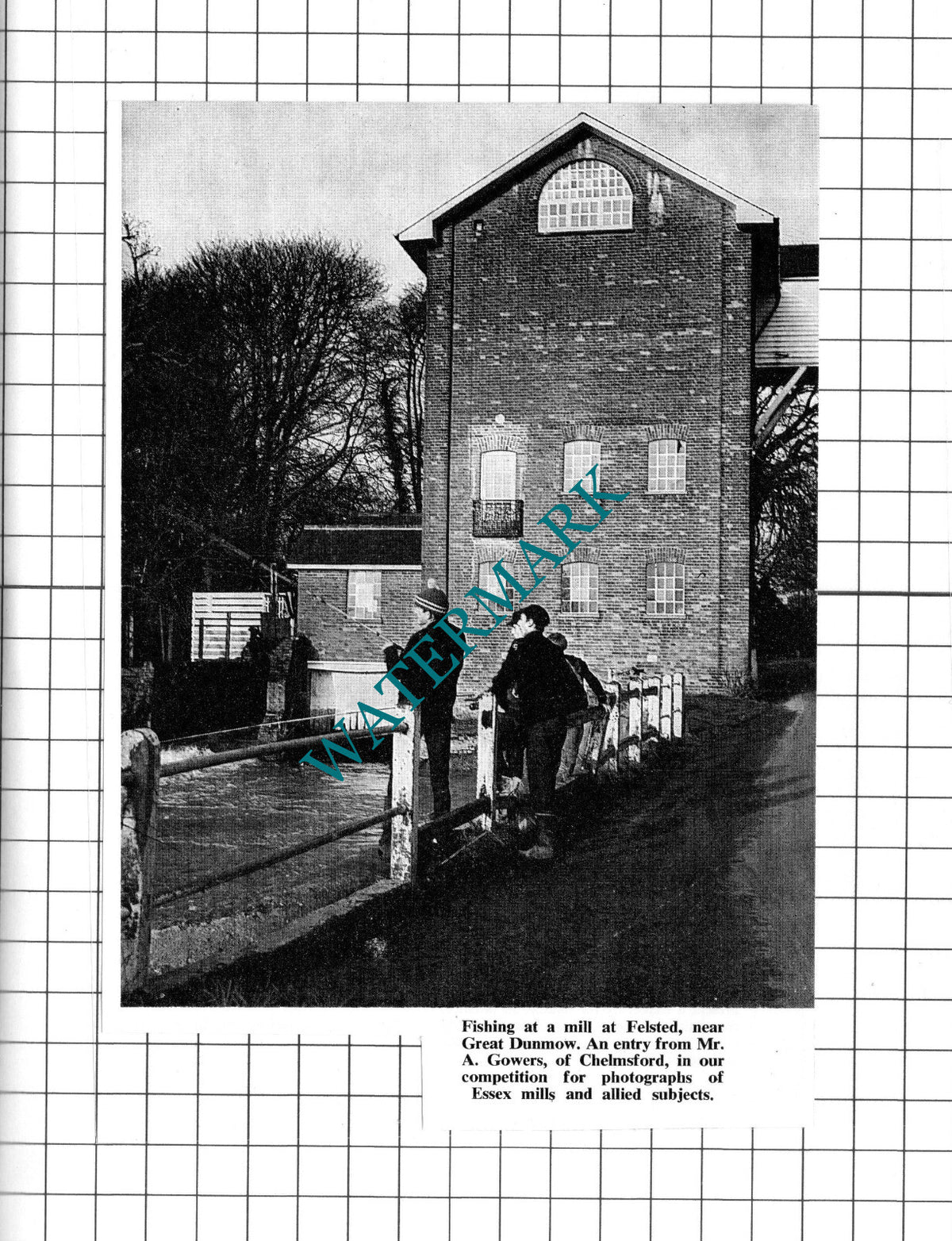 Felsted Mill Essex  -  1967 Clipping