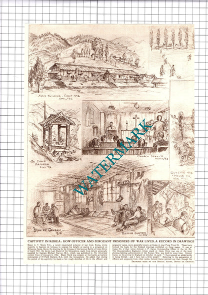 POWs Camp 2 Korea Pyng Yong Ni Korea Major GT Ward   - 1953 2-Part Clipping