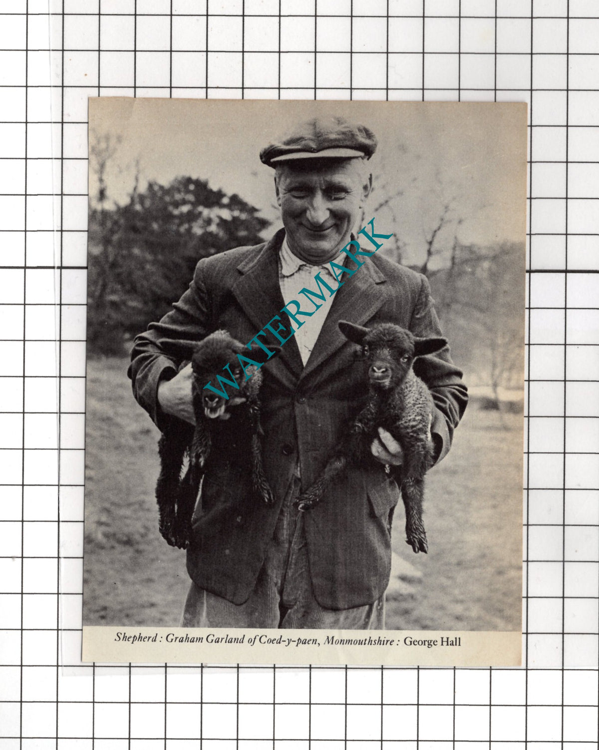 Graham Garland Coed-y-Paen Monmouthshire Shepherd  - 1972 Cutting