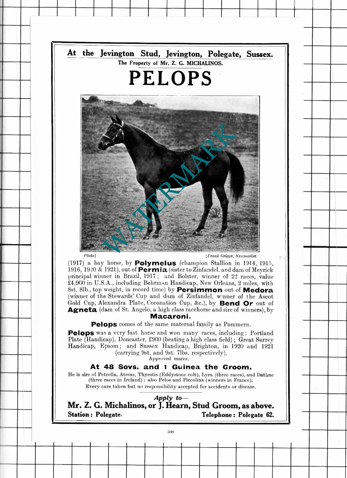 Mr ZG Michalinos PELOPS Racehorse Jevington Stud Polegate Sussex - 1927 Advert
