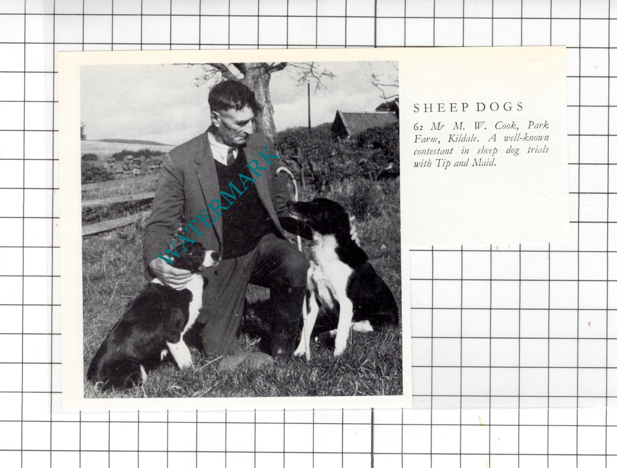 Mr M W Cook Park Farm Kildale Yorkshire -  Small Clipping