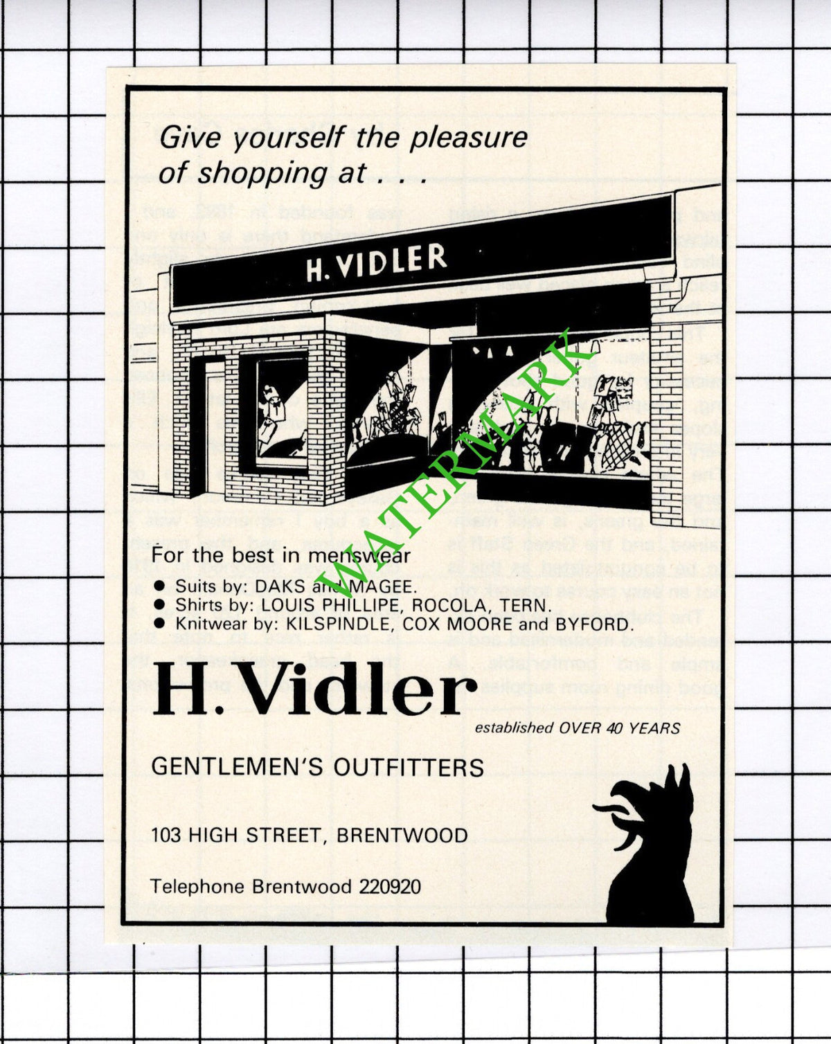 H Vidler Brentwood Essex Small Advert - 1981 Cutting