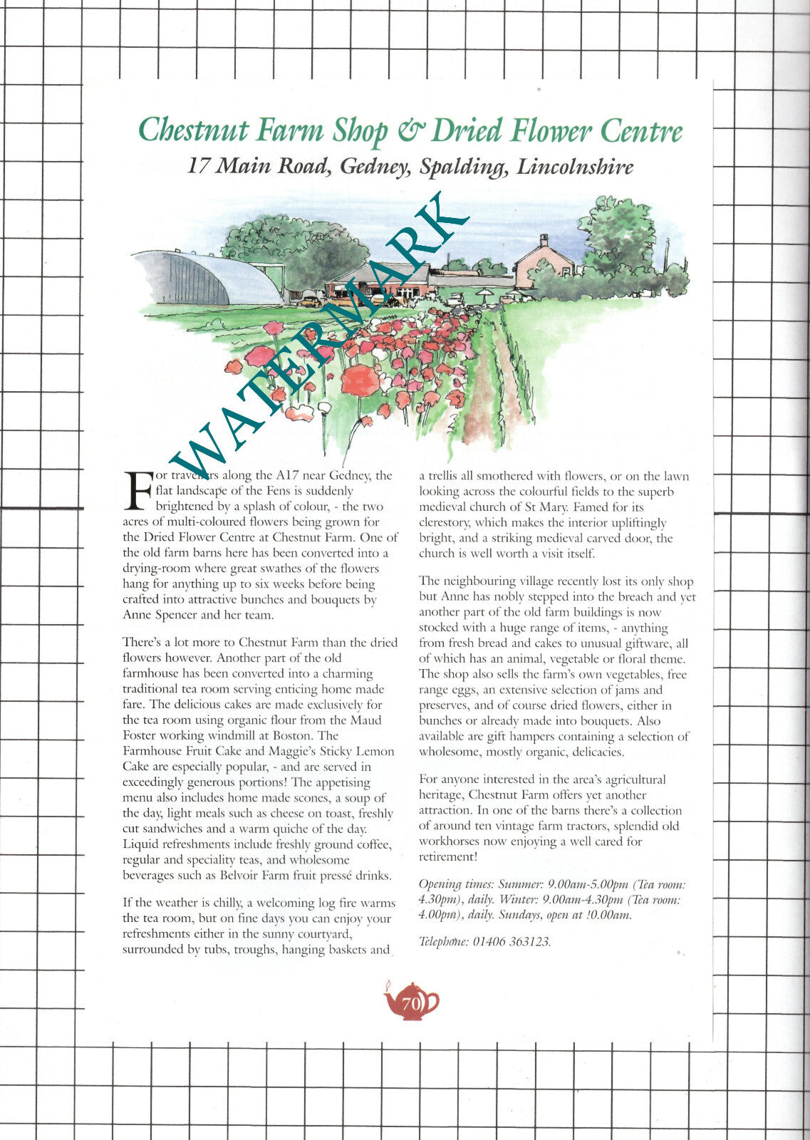 Chestnut Farm Gedney Lincs / African Violet Terrington St Clement  c.2001 Advert