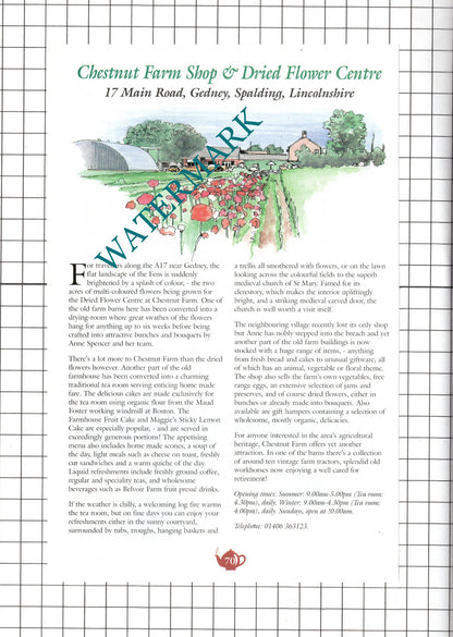 Chestnut Farm Gedney Lincs / African Violet Terrington St Clement  c.2001 Advert