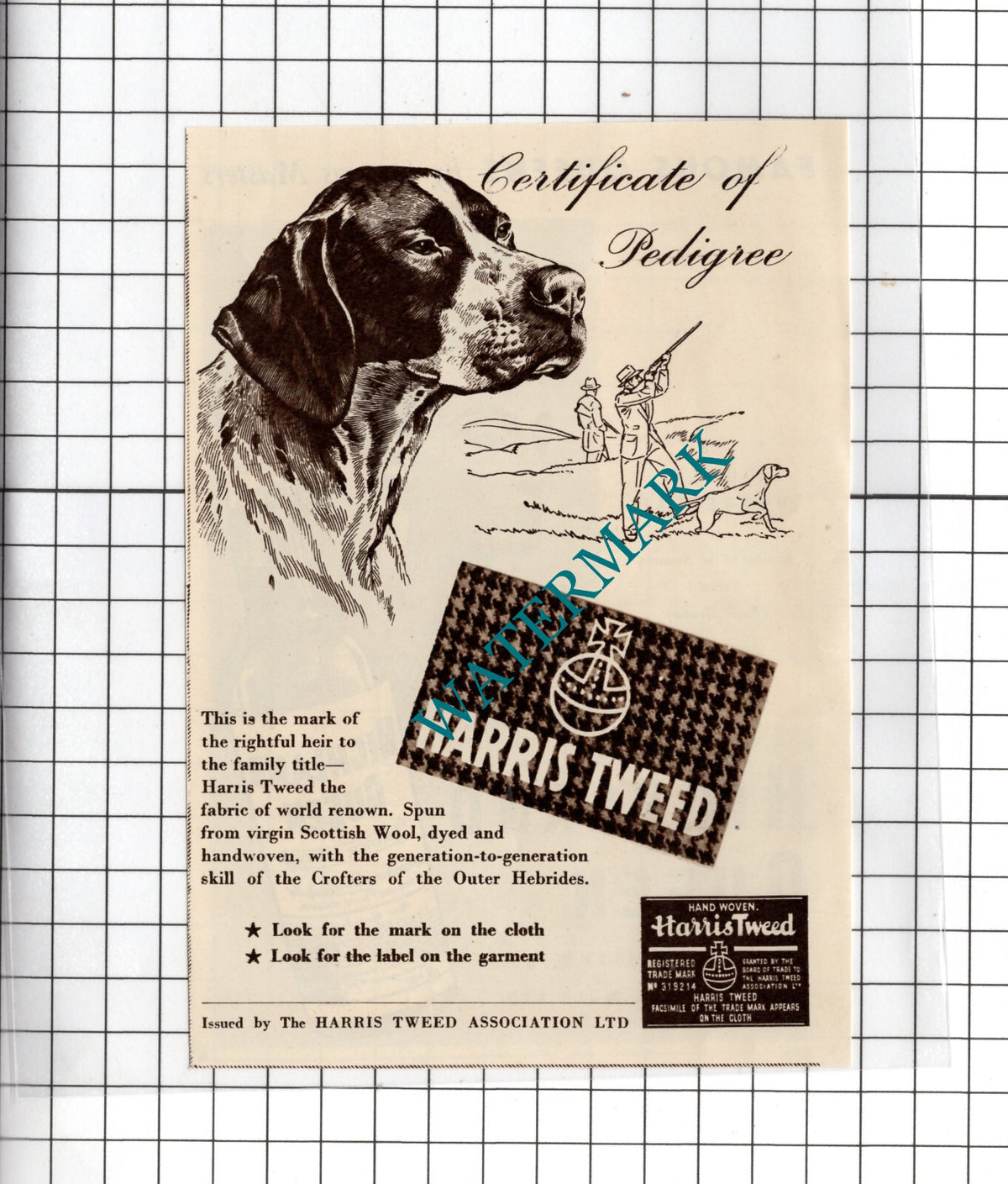 Highland Queen Whisky Queen Nofretete / Harris Tweed - 1950 Small Advert