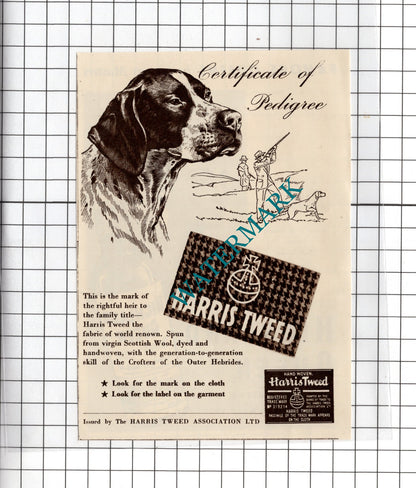 Highland Queen Whisky Queen Nofretete / Harris Tweed - 1950 Small Advert