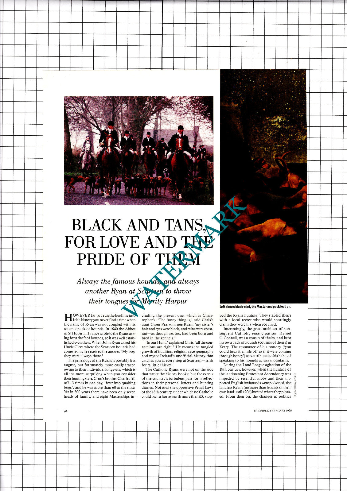Scarteen Hounds Ryan - 1990 Article / Print