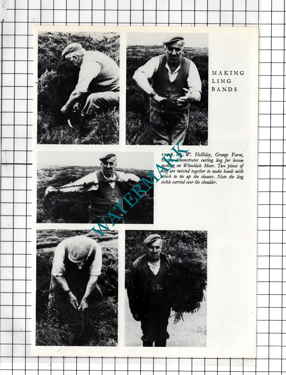 Mr W Holliday Grange Farm Stape Wheeldale Moor - Clipping