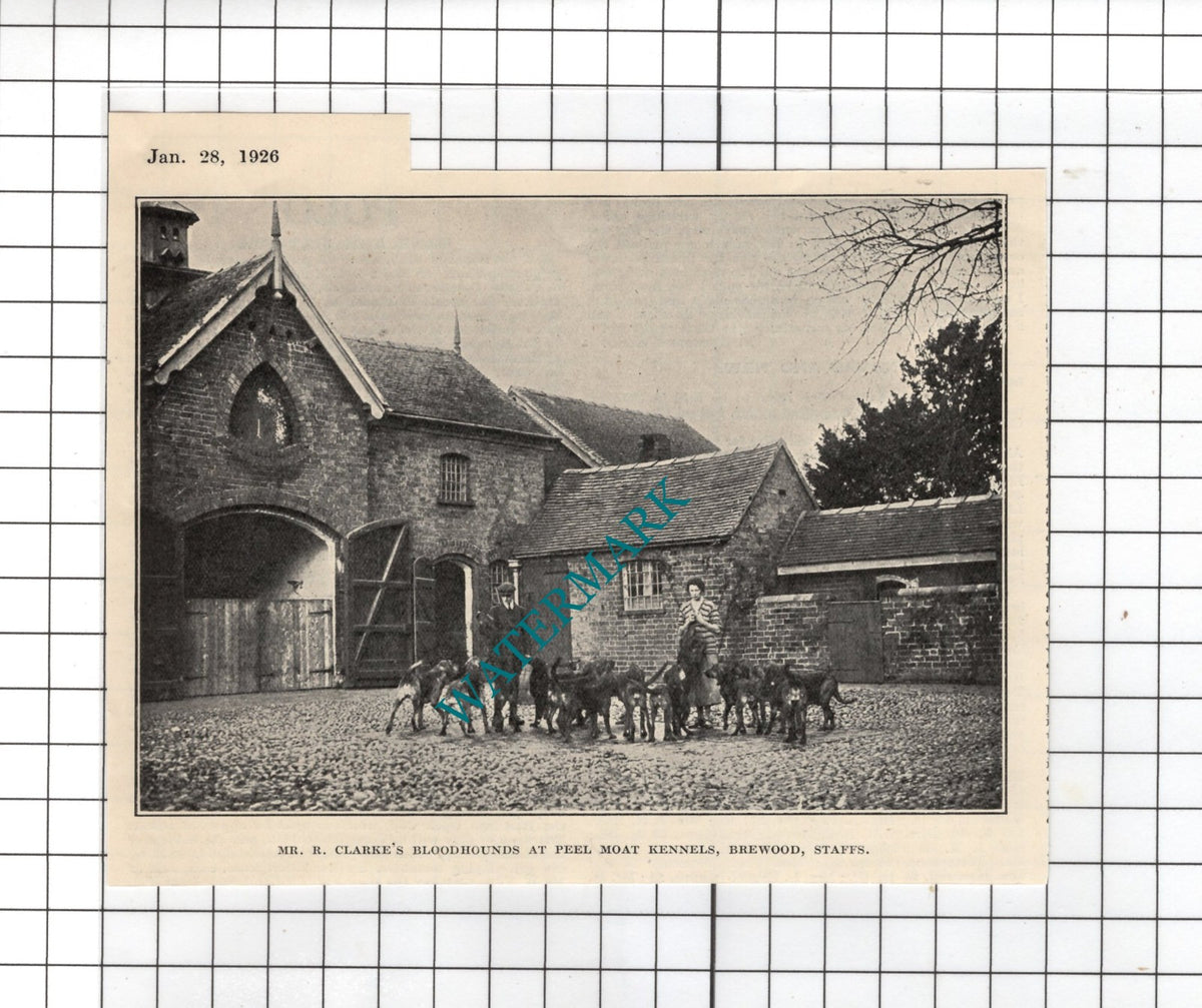 Mr R Clarke Peel Moat Kennels Brewood Staffordshire - 1926 SMALL Clipping